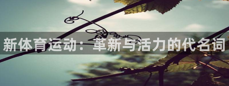 利记SBO是合法的吗：新体育运动：革