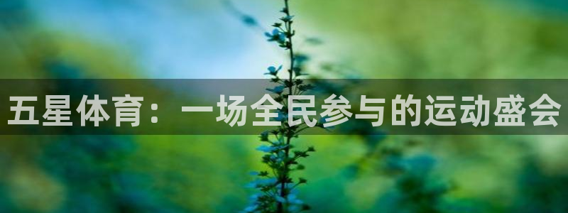 利记365：五星体育：一场全民参与的