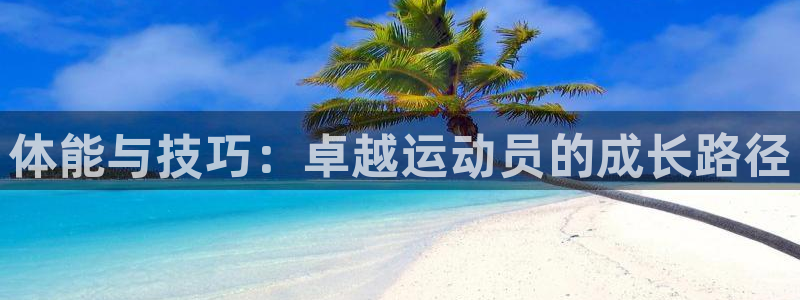 利记sbobet登录入口：体能与技巧