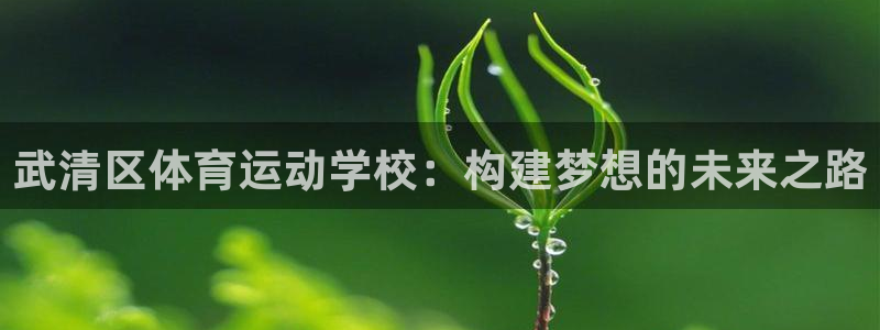 利记轮渡集团：武清区体育运动学校：构