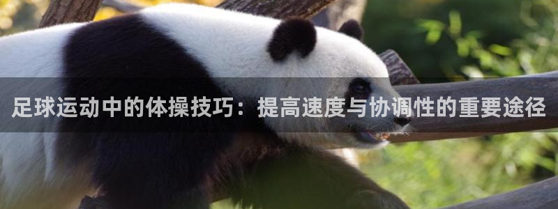 利记注册平台：足球运动中的体操技巧：