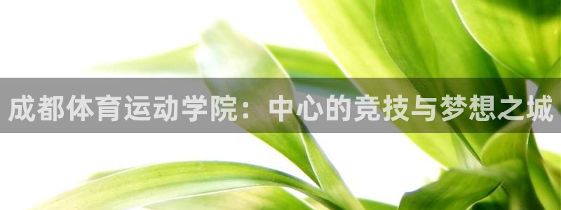 利记SBOBET官网APP：成都体育