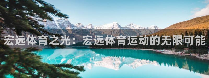 利记科技有限公司：宏远体育之光：宏远