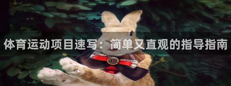 利记sbobet注册登录：体育运动项