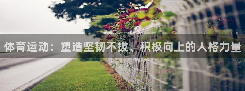 利记sbobet登录入口：体育运动：
