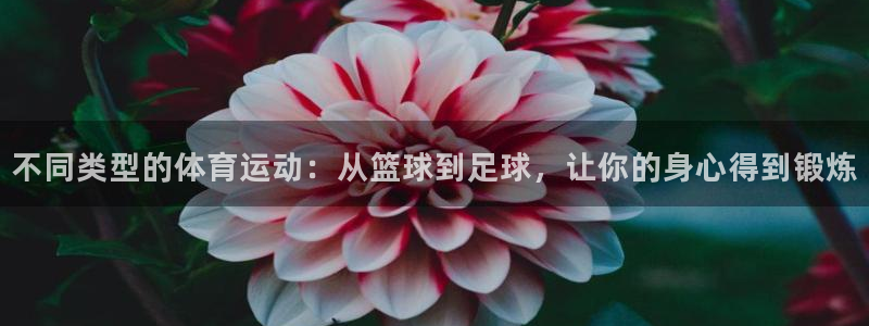 利记sbobet官方网站入口：不同类