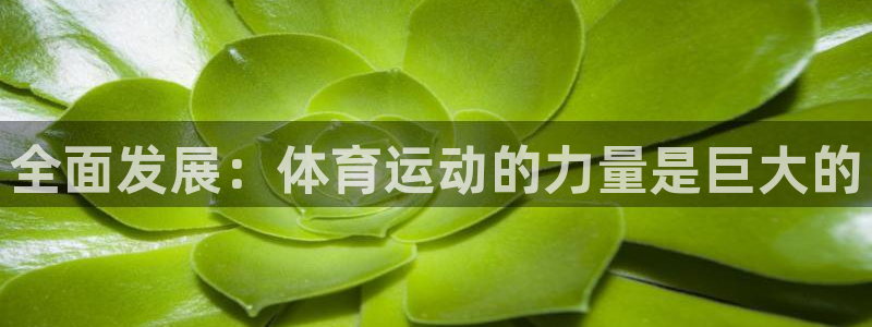 利记app怎么样：全面发展：体育运动