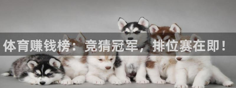 利记的开盘特点：体育赚钱榜：竞猜冠军