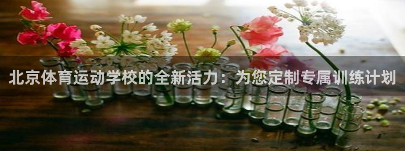 利记sbobet注册登录：北京体育运